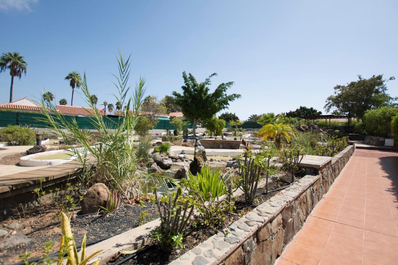 Serenity Garden Маспаломас Екстериор снимка