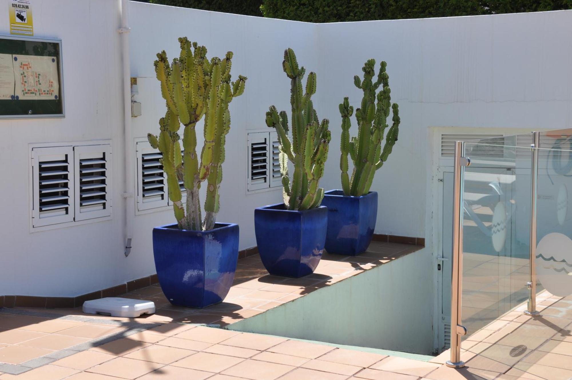 Serenity Garden Маспаломас Екстериор снимка